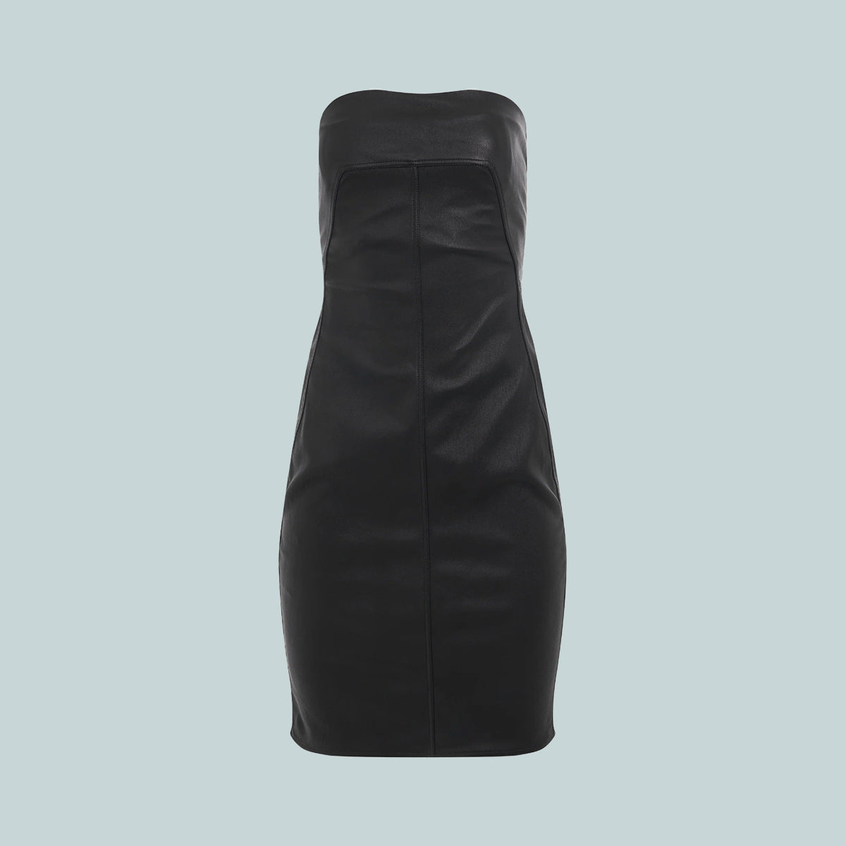 Leather Bustier Dress Black GLDNN Leather Bustier Dress Black GLDNN