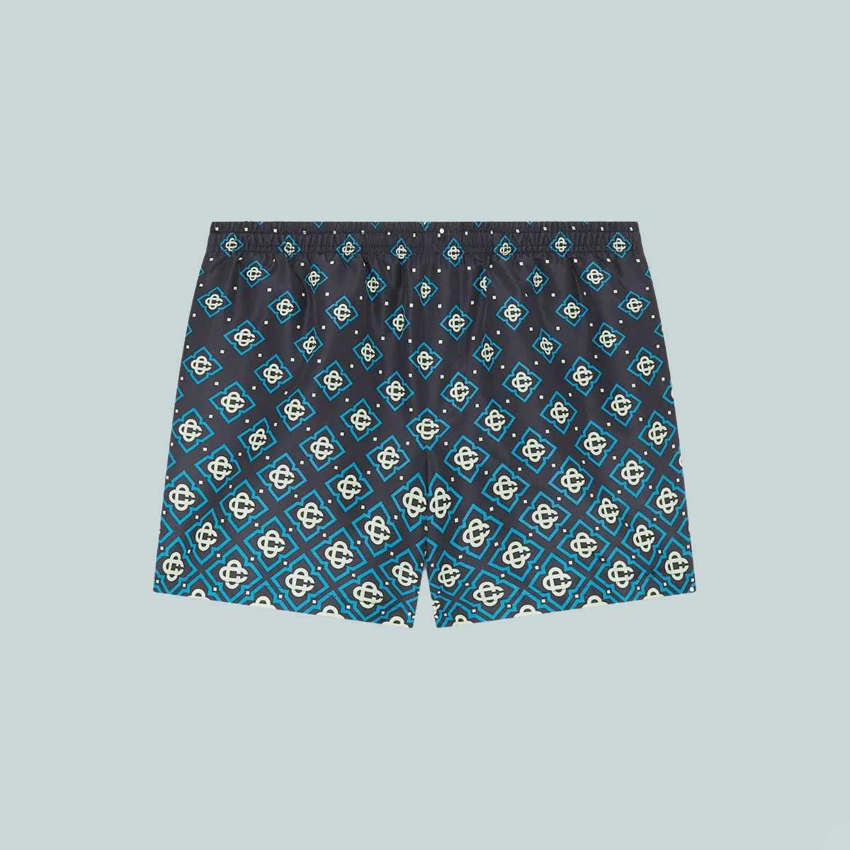 Printed Swim Shorts Black Degrade Monogram