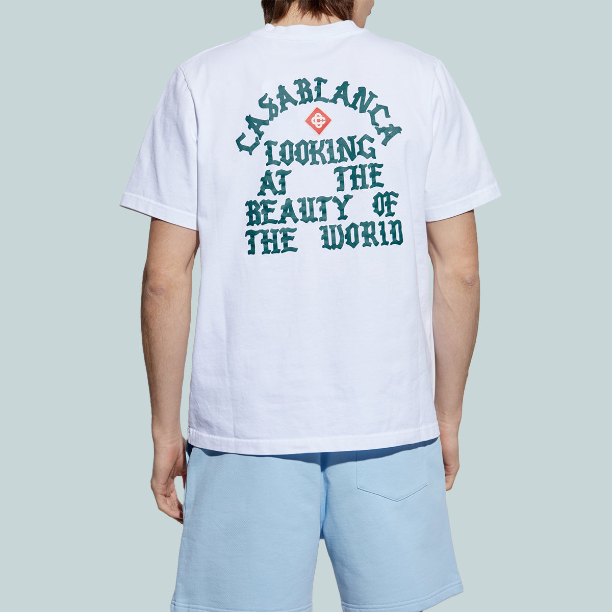 Looking At The Beauty Of The World T-Shirt White