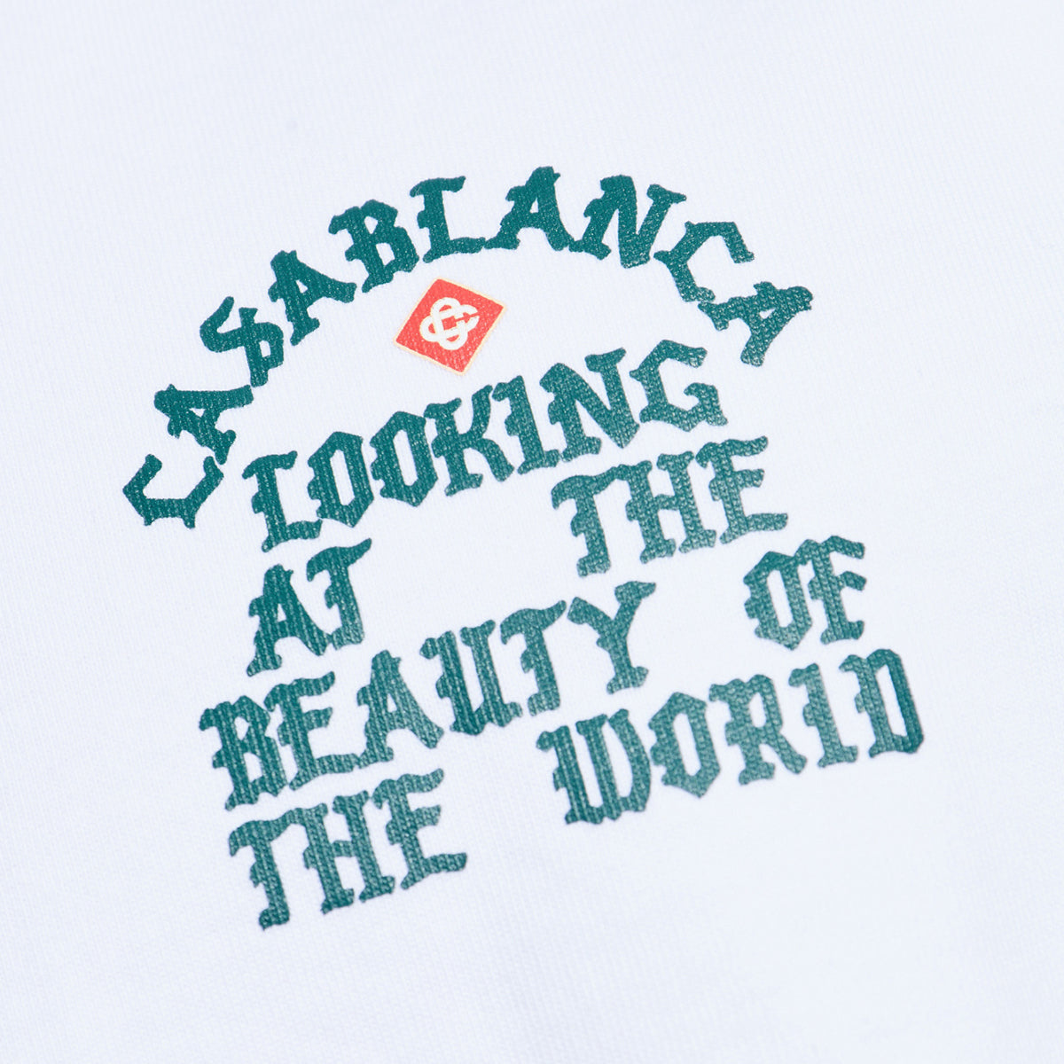 Looking At The Beauty Of The World T-Shirt White